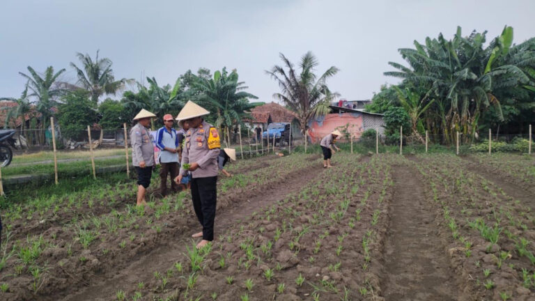 Program Asta Cita, Polisi Buka Lahan Pekarangan Pangan Bergizi