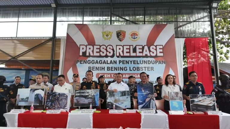 Bareskrim Polri : Gagalkan Penyelundupan 151 Ribu Benih Lobster di Perairan Bintan