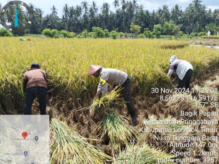 Dukung Asta Cita Presiden, Bripka Agus Salim Bantu Petani di Lombok Timur