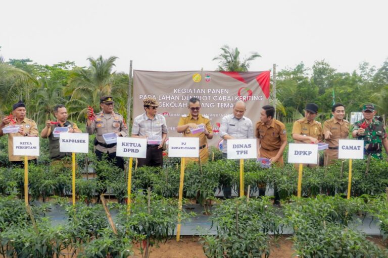 Pj. Bupati Ciamis Hadiri Farmer’s Field Day untuk Tingkatkan Produktivitas Cabai Keriting