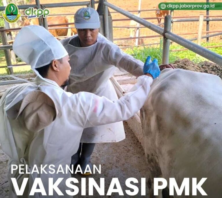 DKPP Jabar Ambil Langkah Cepat Atasi Kasus PMK