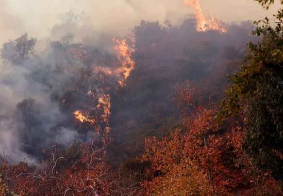 Penyelidikan Penyebab Kebakaran Palisades Fokus pada Jalur Pendakian Populer di Los Angeles