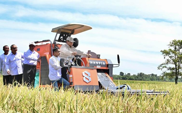 Presiden Prabowo Turun ke Sawah dalam Panen Raya Nasional di Majalengka