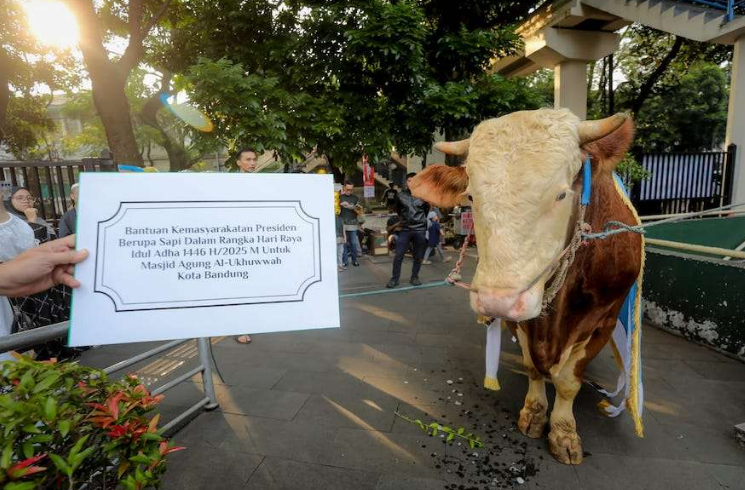 Wali Kota Bandung Pastikan Distribusi Hewan Kurban Merata di Seluruh Wilayah